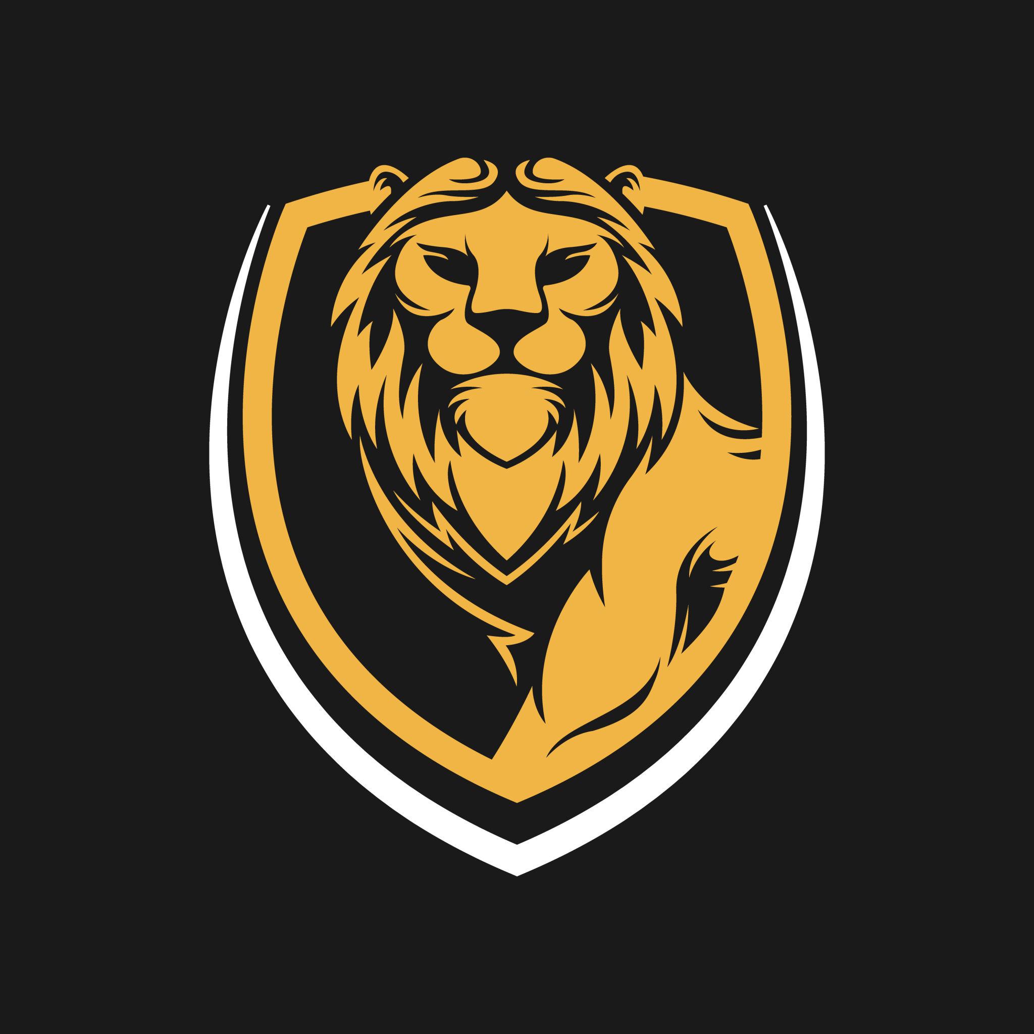 EBM International Sports Academy Bold Lion logo